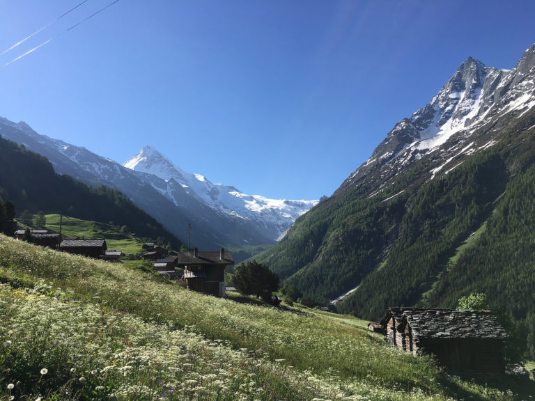2019-Plantes-Anakolodge-ZenAventures-Ines-Thoms-003