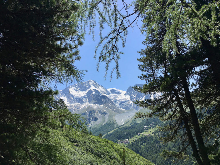 2019-Plantes-Arolla-ZenAventures-Ines-Thoms-001