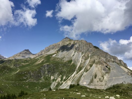 2021 Randonnée flore alpine autour du Grand-Chavalard avec Inès Thoms de Zenaventures 4