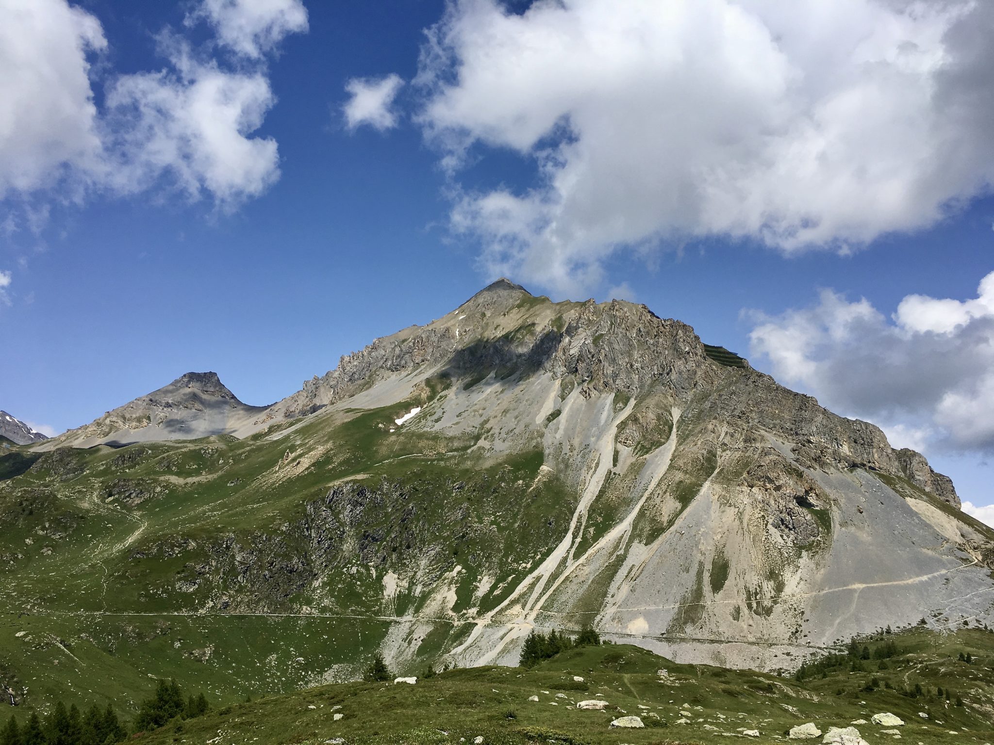 You are currently viewing FLORE ALPINE AUTOUR DU GRAND CHAVALARD
