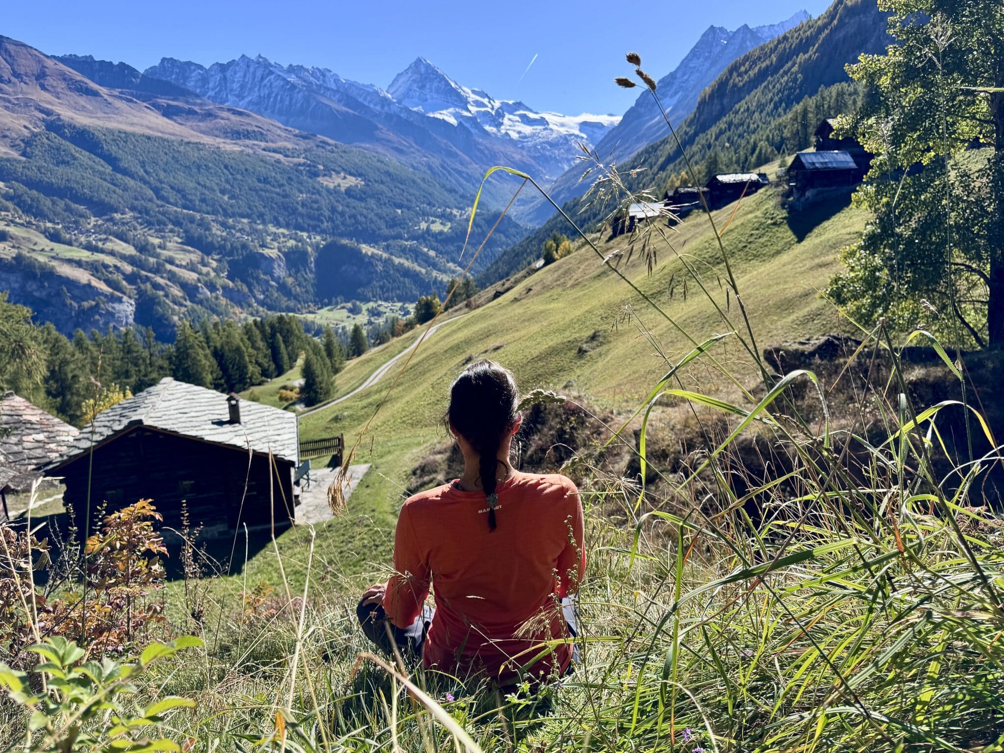 You are currently viewing WEEK-END PLANTES COMESTIBLES & YOGA